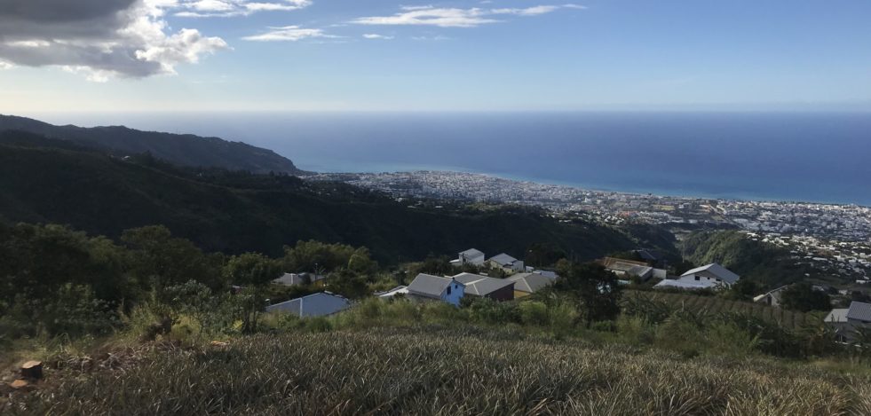 Vue sur Saint-Denis Réunion