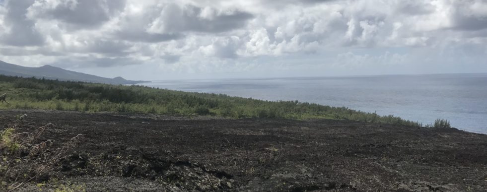 Route des laves La Réunion